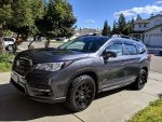 IMG_20190308_101218.jpg